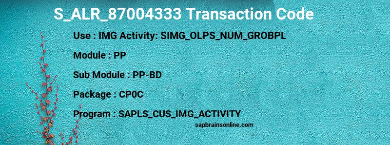 SAP S_ALR_87004333 transaction code