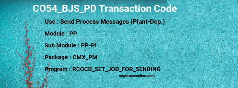 SAP CO54_BJS_PD transaction code