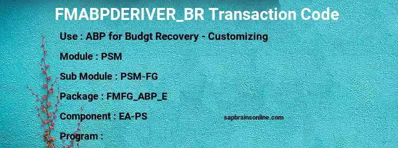 SAP FMABPDERIVER_BR transaction code