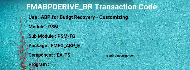 SAP FMABPDERIVE_BR transaction code