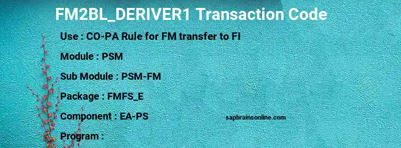 SAP FM2BL_DERIVER1 transaction code