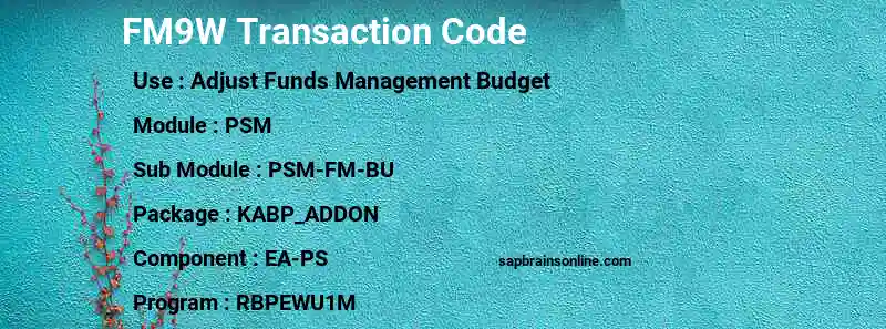 SAP FM9W transaction code