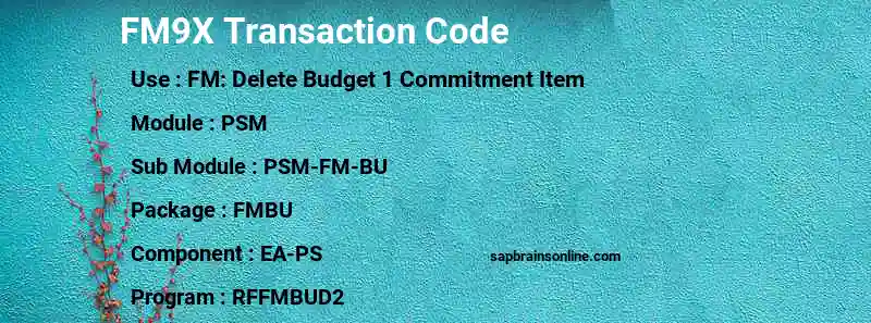 SAP FM9X transaction code