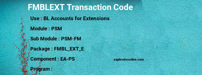 SAP FMBLEXT transaction code