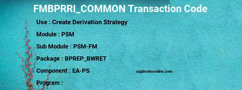 SAP FMBPRRI_COMMON transaction code