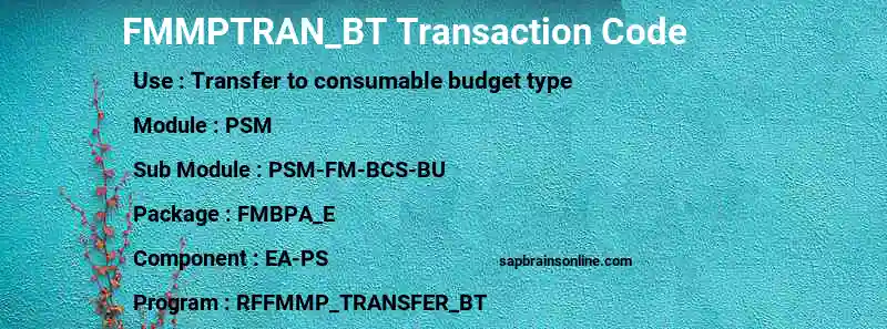 SAP FMMPTRAN_BT transaction code