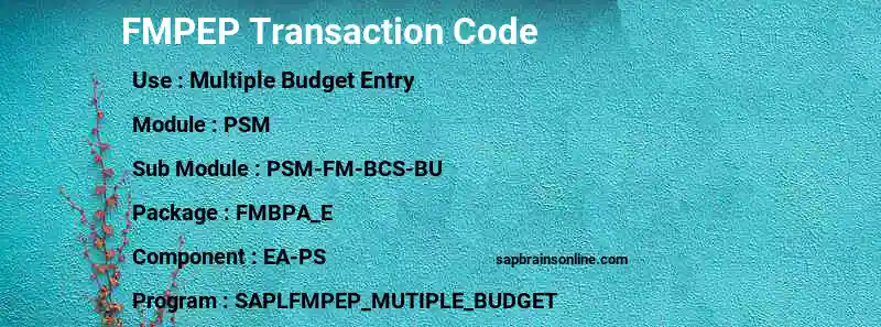 SAP FMPEP transaction code