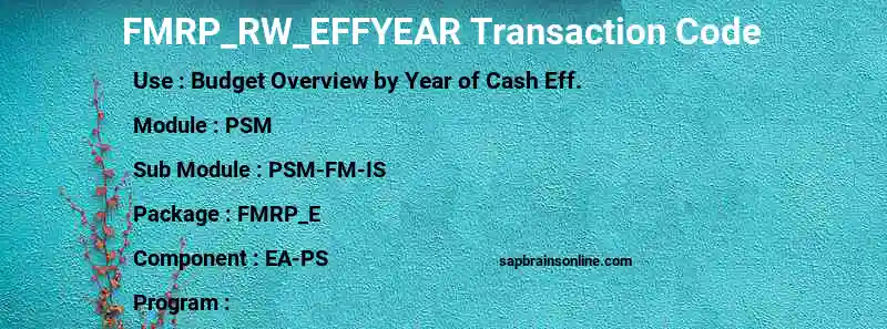 SAP FMRP_RW_EFFYEAR transaction code