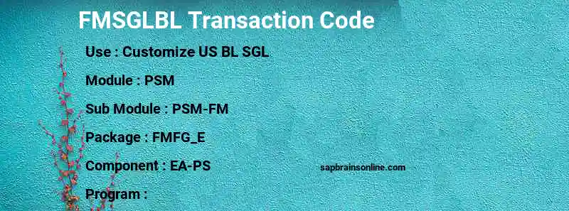SAP FMSGLBL transaction code