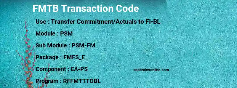 SAP FMTB transaction code