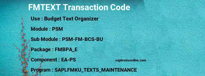 SAP FMTEXT transaction code