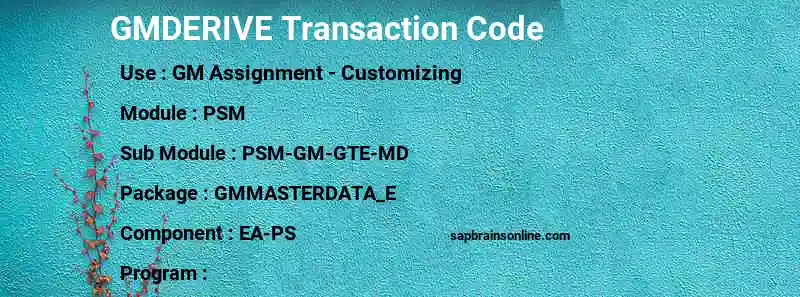 SAP GMDERIVE transaction code