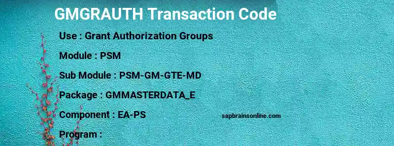 SAP GMGRAUTH transaction code