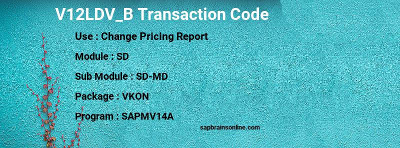 SAP V12LDV_B transaction code