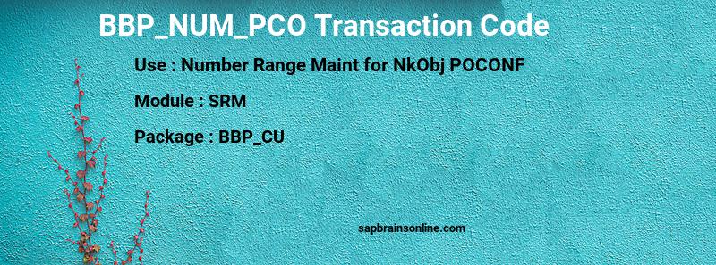 SAP BBP_NUM_PCO transaction code