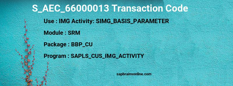 SAP S_AEC_66000013 transaction code