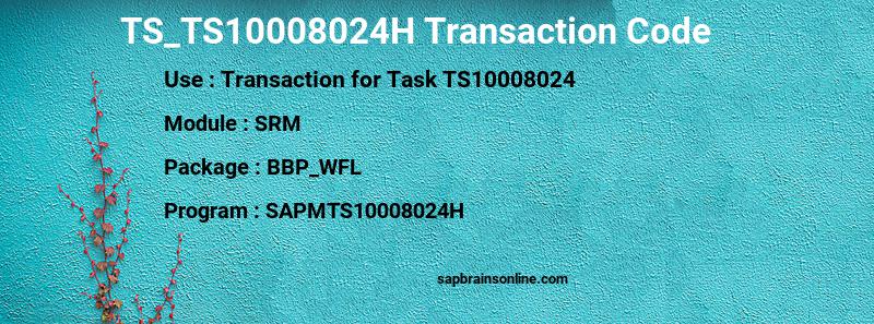 SAP TS_TS10008024H transaction code