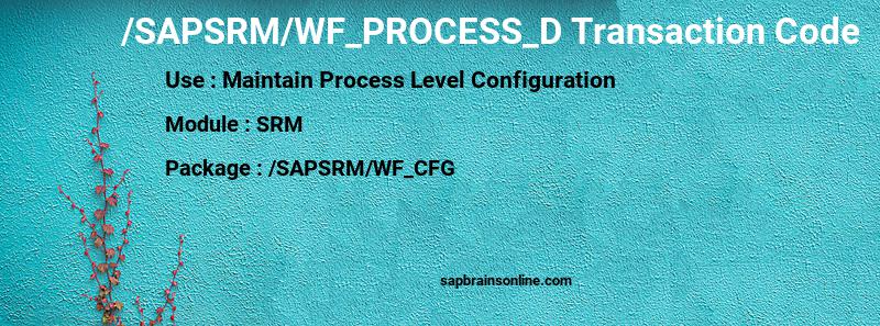 SAP /SAPSRM/WF_PROCESS_D transaction code