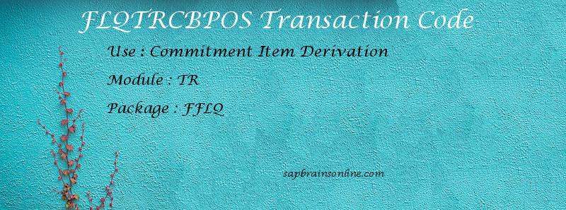 SAP FLQTRCBPOS transaction code